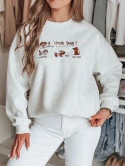 Bluzy Damskie>Dstreet Bluza damska oversize z jamnikami JAMNIKOVE szara BY1499