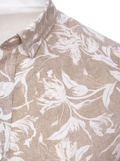 Koszule Męskie>Dstreet Koszula męska brązowa DX2265